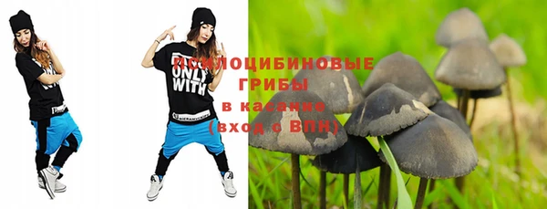 мяу мяу мука Снежинск